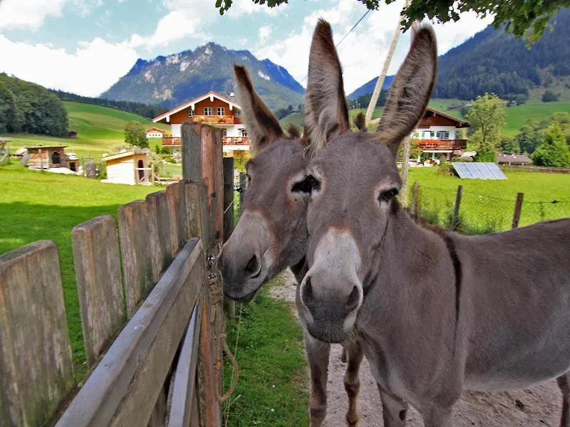 Apartment Gaestehaus Hinterponholz Ramsau bei Berchtesgaden